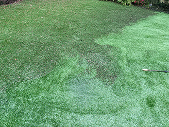 Artificial Grass Cleaning Before