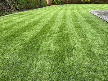 Artificial Grass Cleaning After